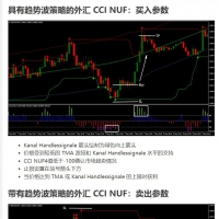 具有趋势波策略的外汇 CCI NUF