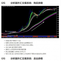 I2G 分析器外汇交易系统