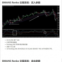 BMANS Renko 交易系统 MT4