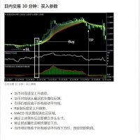 日内交易 30 分钟交易系统