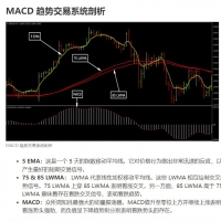 MACD趋势交易系统