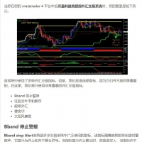 盈利趋势跟随外汇交易系统