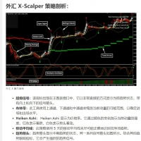 外汇 X 黄牛策略