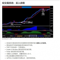 蛇交易系统MT4