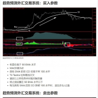 趋势预测外汇交易系统