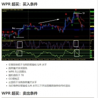 WPR超买超卖交易系统