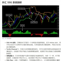 外汇 SSG 系统 MT4