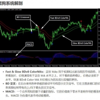 黑狗系统