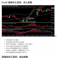 Forbi 简单外汇系统 MT4