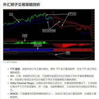 外汇狮子交易策略 MT4