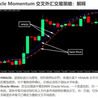 OM-交叉外汇交易策略