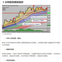 5分钟趋势追随者MT4