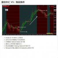 MT4-交易系统 撒旦外汇 V5