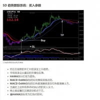 SD趋势跟踪系统