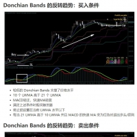 D-B 的反转趋势