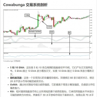 Cowabunga 交易系统