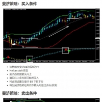 MT4-交易系统 斐济策略