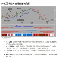 外汇艺术趋势追随者策略 MT4