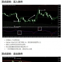 顶点反转交易系统