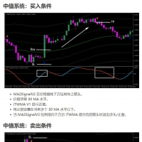 中值砖形系统说明