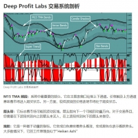 Deep Profit Labs 交易系统