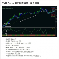 T-Cobra 外汇倒卖策略