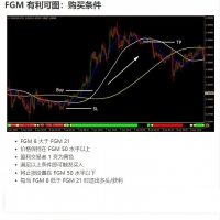 MT4-交易系统 FGM 盈利策略