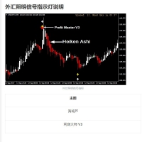 外汇照明信号系统