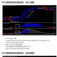 外汇趋势高峰系统