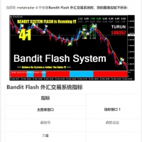 Bandit Flash 外汇交易系统