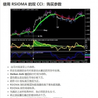 双 CCI 与 RSIOMA 交易系统