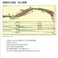 轻型外汇系统