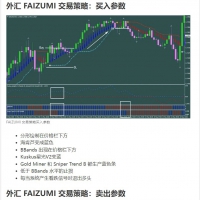 外汇 FAIZUMI 交易策略 MT4