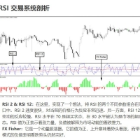 双RSI交易系统