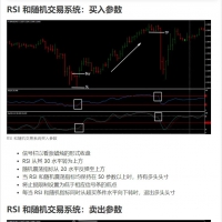 RSI 和随机交易系统