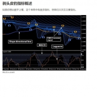 剥头皮豹系统 MT4