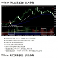 Wildan外汇交易系统