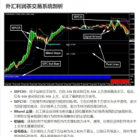 外汇利润茶交易系统