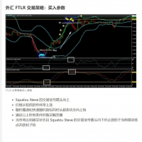 外汇 FTLR 交易系统 MT4