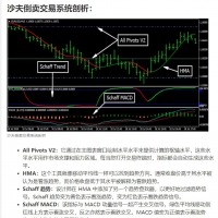 沙夫倒卖交易系统