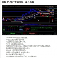 FS 外汇交易策略