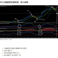 外汇大脑趋势交易系统