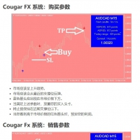 美洲狮外汇系统 MT4