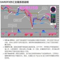 XARDFX 外汇交易系统