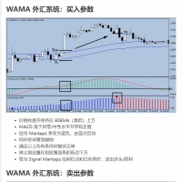 WAMA 外汇系统