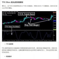 TFX Obos 倒卖交易系统 MT4